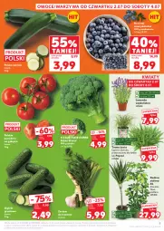Gazetka promocyjna Kaufland - Gazetka tygodnia - Gazetka - ważna od 08.07 do 08.07.2026 - strona 5 - produkty: Warzywa, Koc, Owoce, Grunt, Pomidory