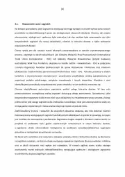 Gazetka promocyjna Lidl - Zasada należytej staranności w procesie zaopatrywania w towary - Gazetka - ważna od 31.12 do 31.12.2030 - strona 8 - produkty: Por, Gin, Rama, Rolnik, Fa