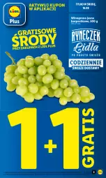 Gazetka promocyjna Lidl - GAZETKA - Gazetka - ważna od 19.08 do 19.08.2023 - strona 11 - produkty: Warzywa, Gra, Warzywa i owoce, Owoce, Wino