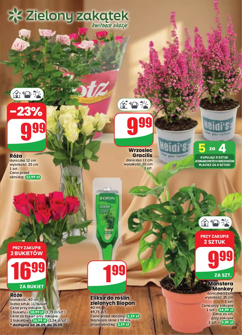 Gazetka promocyjna Dino - Gazetka 39 / 2026 - ważna 23.09 do 29.09.2026 - strona 59 - produkty: Bukiet, Gra, Róża, Sok, Tera