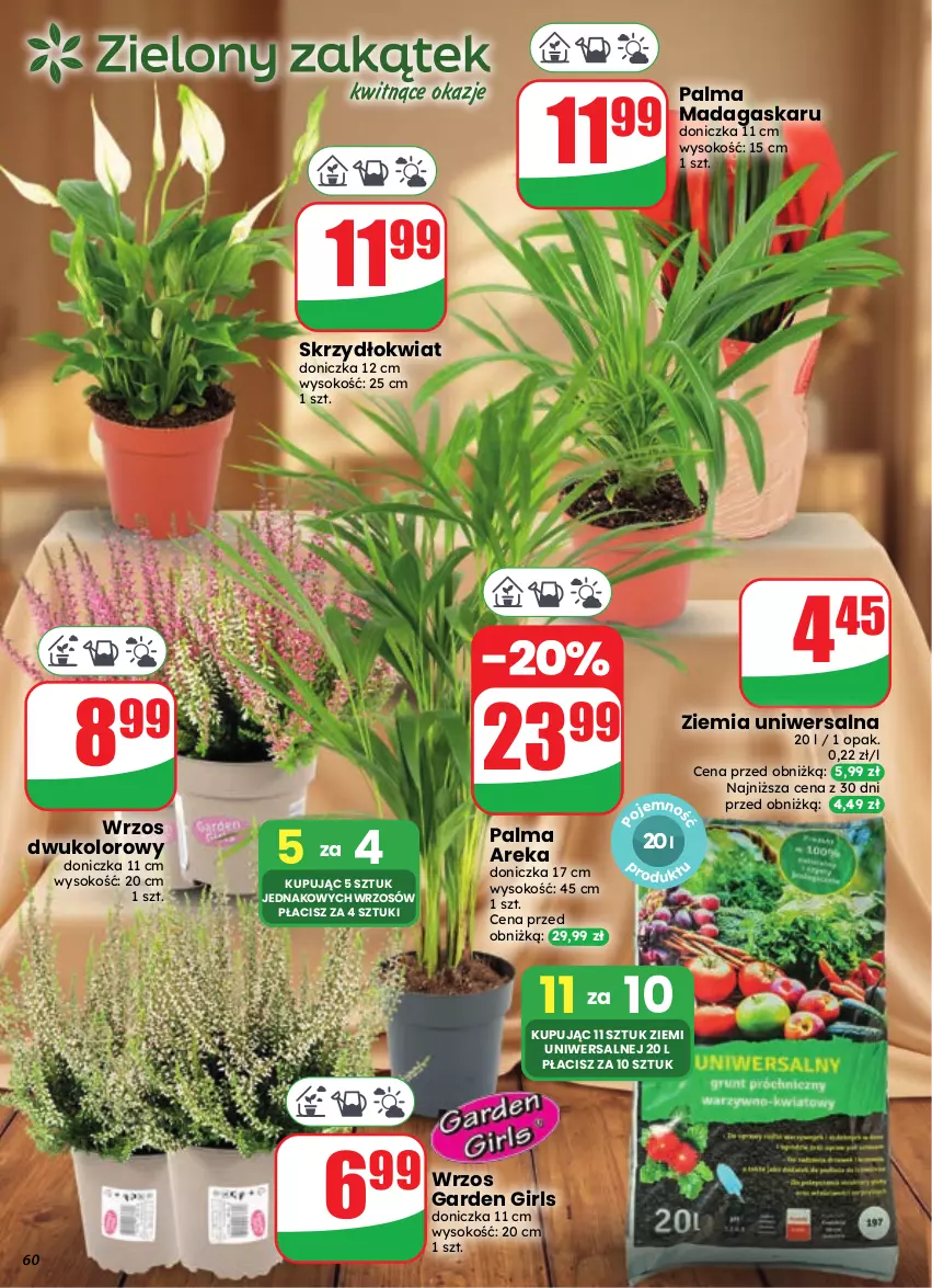 Gazetka promocyjna Dino - Gazetka 39 / 2026 - ważna 23.09 do 29.09.2026 - strona 60 - produkty: Palma, Sok