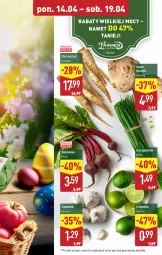 Gazetka promocyjna Aldi - Farmer ALDIK poleca świeże owoce i warzywa - Gazetka - ważna od 19.04 do 19.04.2025 - strona 5 - produkty: Chrzan, Inka, Seler korzeń, Czosnek, Limonka