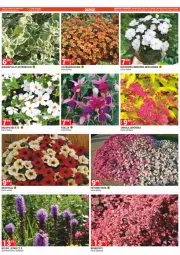 Gazetka promocyjna Merkury Market - Gazetka - ważna od 31.05 do 31.05.2022 - strona 3 - produkty: Chrzan