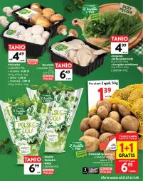 Gazetka promocyjna Intermarche - O La La! Ja to kupuję! - Gazetka - ważna od 05.08 do 05.08.2026 - strona 13 - produkty: Piec, Kolendra, Sałat, Pieczarka, Bazyl, Bazylia, Boczniak, Fa