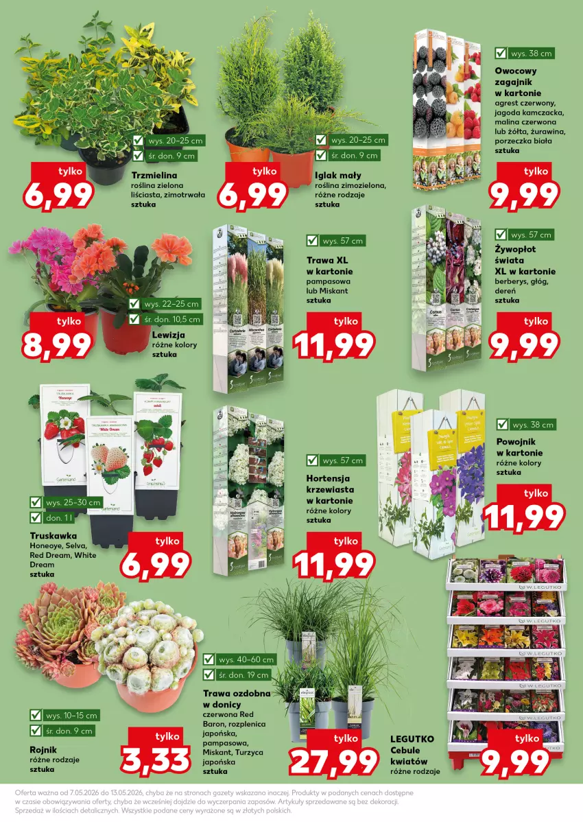 Gazetka promocyjna Kaufland - Kaufland - ważna 07.05 do 13.05.2026 - strona 11 - produkty: Dereń, Gres, Miska, Por, Sok