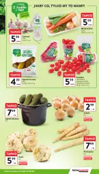 Gazetka promocyjna Intermarche - Gazetka - ważna od 15.01 do 15.01.2025 - strona 13 - produkty: Cebula, Pietruszka, Ogórek, Czosnek