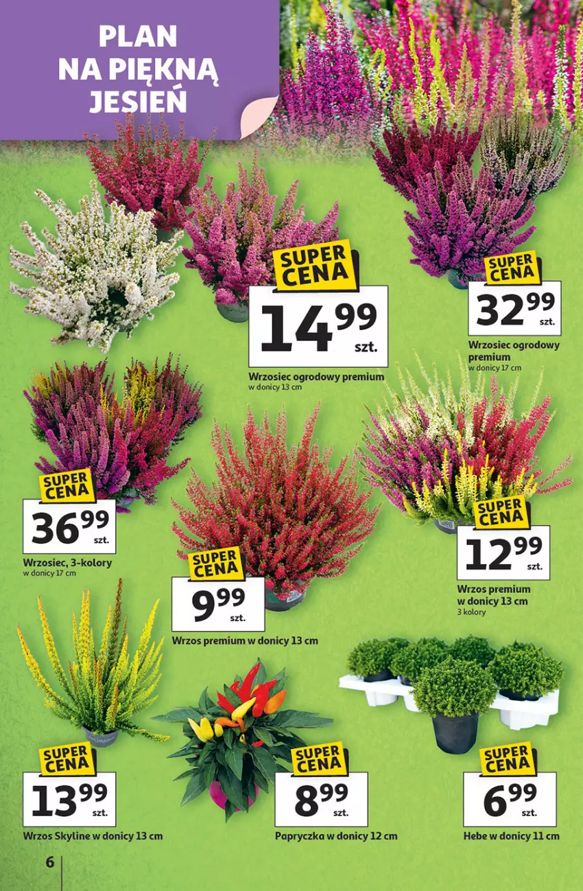 Gazetka promocyjna Auchan - Pewność niskich cen Hipermarket - ważna 11.09 do 17.09.2025 - strona 6 - produkty: Fa