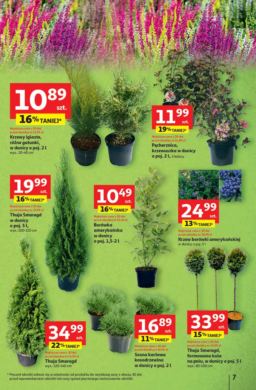 Gazetka promocyjna Auchan - Pewność niskich cen Hipermarket - ważna 11.09 do 17.09.2025 - strona 7 - produkty: Ser