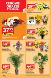 Gazetka promocyjna Auchan - Pewność niskich cen Hipermarket - Gazetka - ważna od 17.09 do 17.09.2025 - strona 40 - produkty: Tera, Wazon