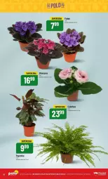 Gazetka promocyjna PoloMarket - Gazetka - ważna od 09.07 do 09.07.2024 - strona 10 - produkty: K2