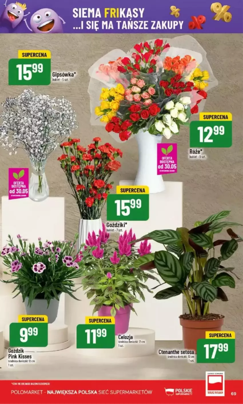 Gazetka promocyjna PoloMarket - ważna 28.05 do 03.06.2025 - strona 70 - produkty: Bukiet