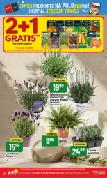 Gazetka promocyjna PoloMarket - Gazetka - ważna od 03.06 do 03.06.2025 - strona 69 - produkty: Pur, Bell, Bella