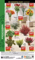 Gazetka promocyjna Delikatesy Centrum - Franczyza DC38 Czwartek - Gazetka - ważna od 24.09 do 24.09.2025 - strona 52 - produkty: Gra, Gerber, Róża, Mule, Bukiet, Fa