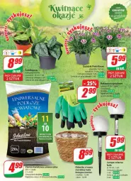 Gazetka promocyjna Dino - Gazetka 24 / 2024 - Gazetka - ważna od 18.06 do 18.06.2024 - strona 52 - produkty: Sok, Rękawice, Lampa, Osłonka