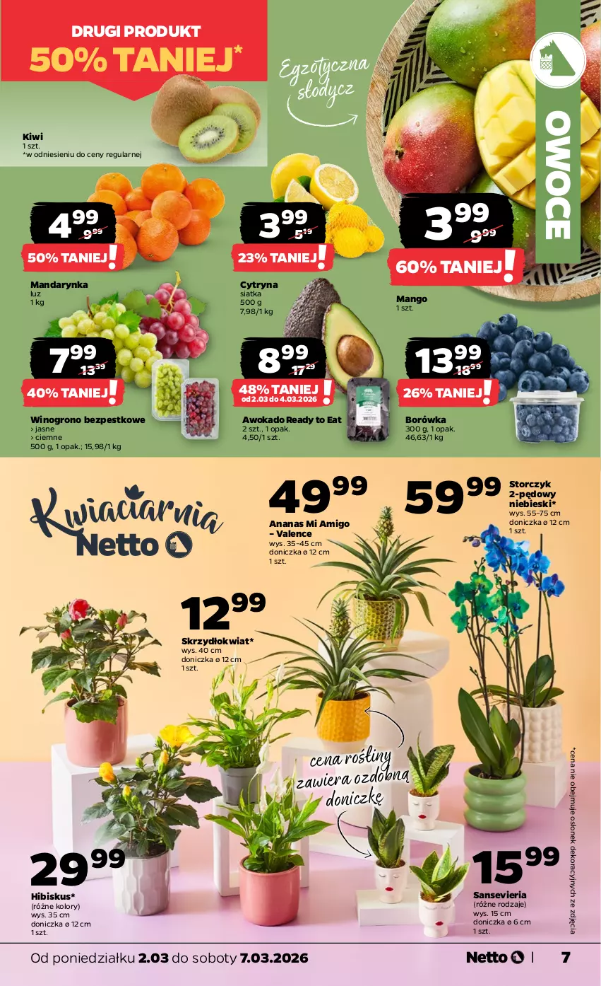 Gazetka promocyjna Netto - Od Poniedziałku - ważna 02.03 do 07.03.2026 - strona 7 - produkty: Ananas, Borówka, Hibiskus, Kiwi, Mango, Owoce, Siatka, Storczyk, Wino