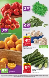 Gazetka promocyjna Stokrotka - Stokrotka Express - Gazetka - ważna od 14.05 do 14.05.2025 - strona 2 - produkty: Piec, Rukola, Owoce, Pomidory, Mięso, Szpinak
