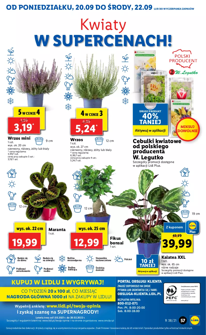 Gazetka promocyjna Lidl - GAZETKA - ważna 20.09 do 22.09.2021 - strona 57 - produkty: Cień, Gry, Mola, O nas, Por