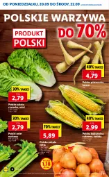 Gazetka promocyjna Lidl - GAZETKA - Gazetka - ważna od 22.09 do 22.09.2021 - strona 6 - produkty: Cebula, Warzywa, Por, Pietruszka, Sałat, Seler naciowy, Kukurydza