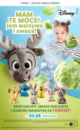 Gazetka promocyjna Lidl - GAZETKA - Gazetka - ważna od 22.09 do 22.09.2021 - strona 9 - produkty: Piec, Warzywa, Warzywa i owoce, Disney, Owoce