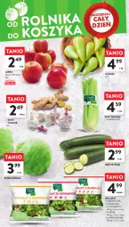 Gazetka promocyjna Intermarche - Gazetka Intermarche - Gazetka - ważna od 15.11 do 15.11.2023 - strona 14 - produkty: Sałata lodowa, Ogórek, Czosnek, Sałat, Seler naciowy, Szpinak, Imbir