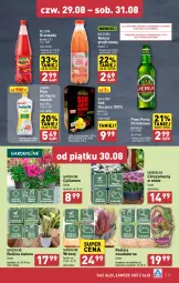 Gazetka promocyjna Aldi - Pełna oferta - Gazetka - ważna od 31.08 do 31.08.2024 - strona 29 - produkty: Piwa, Piwo, Ludwik, Sok, Gra, Do mycia naczyń, Cyklamen, Płyn do mycia naczyń, Perła, Oranżada, Hellena, Płyn do mycia, Nektar