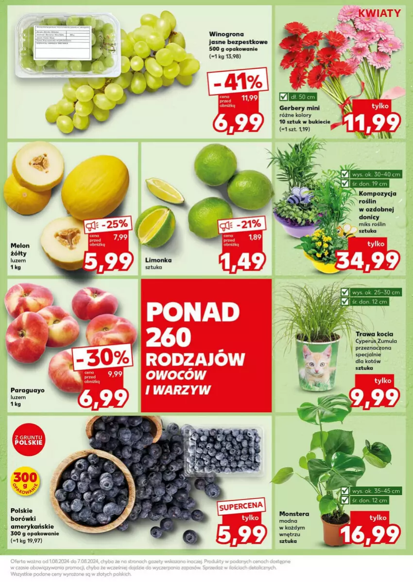 Gazetka promocyjna Kaufland - ważna 05.08 do 07.08.2024 - strona 5 - produkty: Gerber, Koc, Limonka, Wino, Winogrona