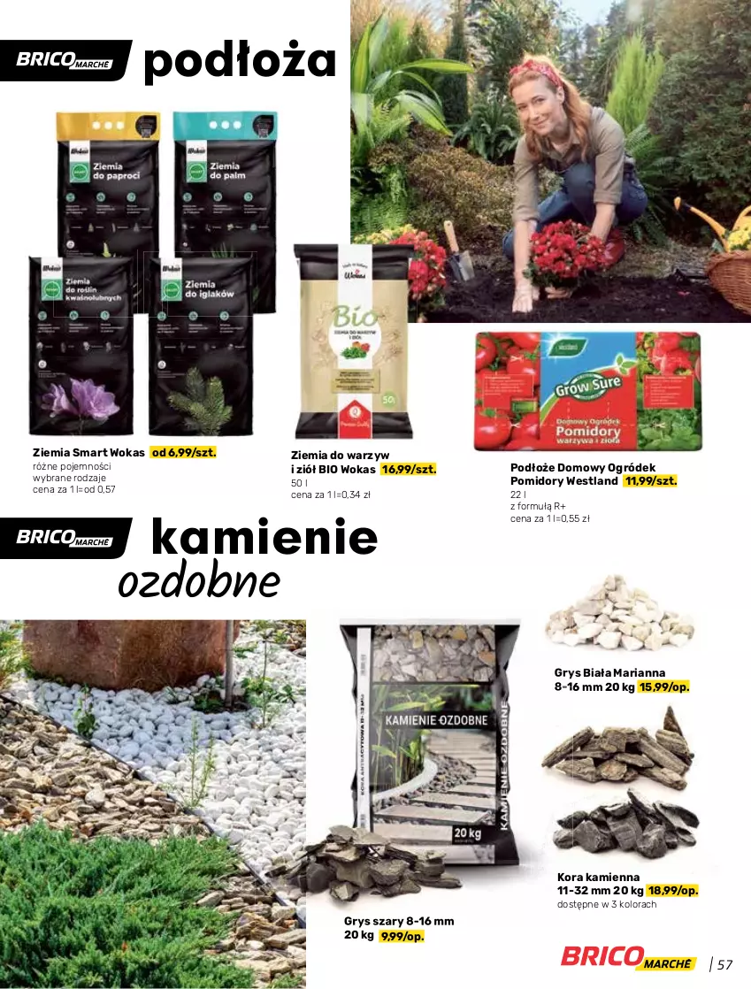 Gazetka promocyjna Bricomarche - Gazetka - ważna 31.03 do 15.05.2021 - strona 57 - produkty: Gry, Ogród, Pomidory