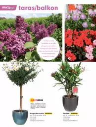 Gazetka promocyjna Bricomarche - Gazetka - Gazetka - ważna od 15.05 do 15.05.2021 - strona 38 - produkty: Surf