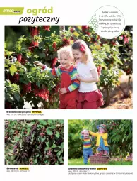 Gazetka promocyjna Bricomarche - Gazetka - Gazetka - ważna od 15.05 do 15.05.2021 - strona 50 - produkty: Por, Ozdoba, Gres, Ogród