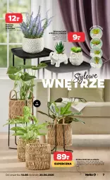 Gazetka promocyjna Netto - Od Czwartku Przemysłowa - Gazetka - ważna od 20.08 do 20.08.2025 - strona 7 - produkty: Sztuczny kwiat