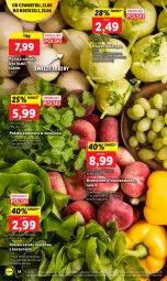 Gazetka promocyjna Lidl - GAZETKA - Gazetka - ważna od 25.06 do 25.06.2023 - strona 18 - produkty: Cebula, Kolendra, Brzoskwinie