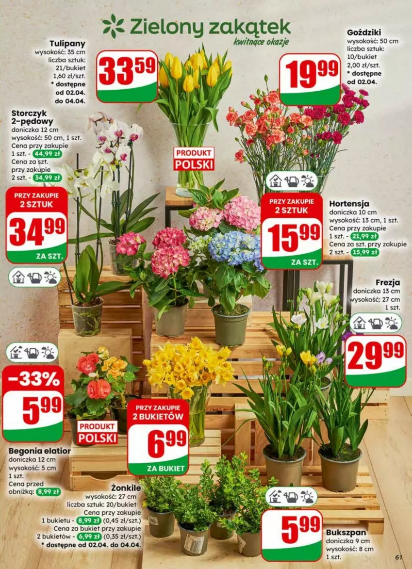 Gazetka promocyjna Dino - ważna 01.04 do 07.04.2026 - strona 58 - produkty: Bukiet, Fa, Ser, Sok, Sos, Storczyk, Tulipan
