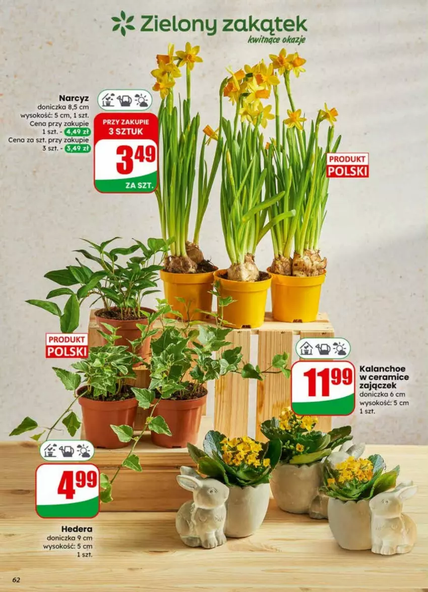 Gazetka promocyjna Dino - ważna 01.04 do 07.04.2026 - strona 59 - produkty: Narcyz, Sok