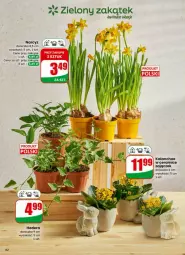 Gazetka promocyjna Dino - Gazetka - ważna od 07.04 do 07.04.2026 - strona 59 - produkty: Sok, Narcyz