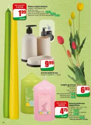 Gazetka promocyjna Dino - Gazetka - ważna od 07.04 do 07.04.2026 - strona 61 - produkty: Tulipan, Bols, Bolsius, Zestaw łazienkowy, Szpic, Bukiet