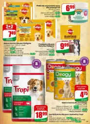 Gazetka promocyjna Dino - Gazetka - ważna od 07.04 do 07.04.2026 - strona 66 - produkty: Mokra karma, Pedigree, Sucha karma