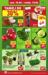 Gazetka promocyjna Aldi - Pełna oferta - Gazetka - ważna od 13.04 do 13.04.2025 - strona 34 - produkty: Sok, Gra, Granat, Kalanchoe, Kokos, Jarmuż, Boczniak