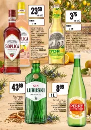 Gazetka promocyjna Dino - Oferta alkoholowa - Gazetka - ważna od 14.08 do 14.08.2026 - strona 4 - produkty: Gin, Soplica, Likier