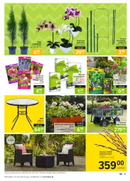 Gazetka promocyjna Carrefour - Gazetka Carrefour - Gazetka - ważna od 22.03 do 22.03.2021 - strona 31 - produkty: Top, Por, Stolik, Stół, Storczyk, Wózek, Poducha, Fotel