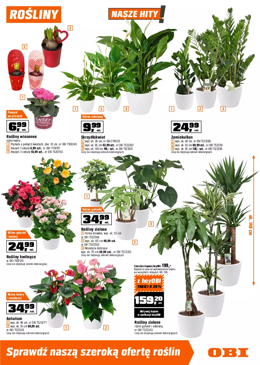 Gazetka promocyjna Obi - Gazetka OBI - ważna 28.01 do 17.02.2026 - strona 13 - produkty: Beckers, Cebula, Dekoral, Designer Colour, Fa, Farba akrylowa, Farba lateksowa, Hiacynt, Kuchnia, Por, Prymula, Tera
