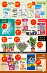 Gazetka promocyjna Delikatesy Centrum - Gazetka Delikatesy Centrum - Gazetka - ważna od 01.06 do 01.06.2021 - strona 31 - produkty: Kurczak, Warzywa, Lovela, Whiskas, Worki na śmieci, Chappi, Zdrowie, NAN Optipro, Mleczko, Worki na śmiec, Grill, Gala, Mleko, Fa