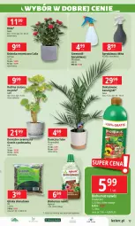 Gazetka promocyjna E Leclerc - Gazetka - ważna od 14.09 do 14.09.2024 - strona 13 - produkty: Mus, Gra, Inka, Biohumus, Róża, Flora, Nawóz, Osłonka