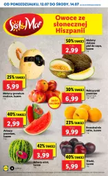Gazetka promocyjna Lidl - GAZETKA - Gazetka - ważna od 14.07 do 14.07.2021 - strona 8 - produkty: Brzoskwinie, Owoce, Arbuz, Melon, Nektar