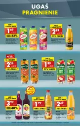 Gazetka promocyjna Biedronka - W tym tygodniu PN - Gazetka - ważna od 02.05 do 02.05.2022 - strona 41 - produkty: Sok pomarańczowy, Sok, Gra, , Sok jabłkowy, Syrop, Cappy, Napój, Okap, Mięta, Nektar, Hortex