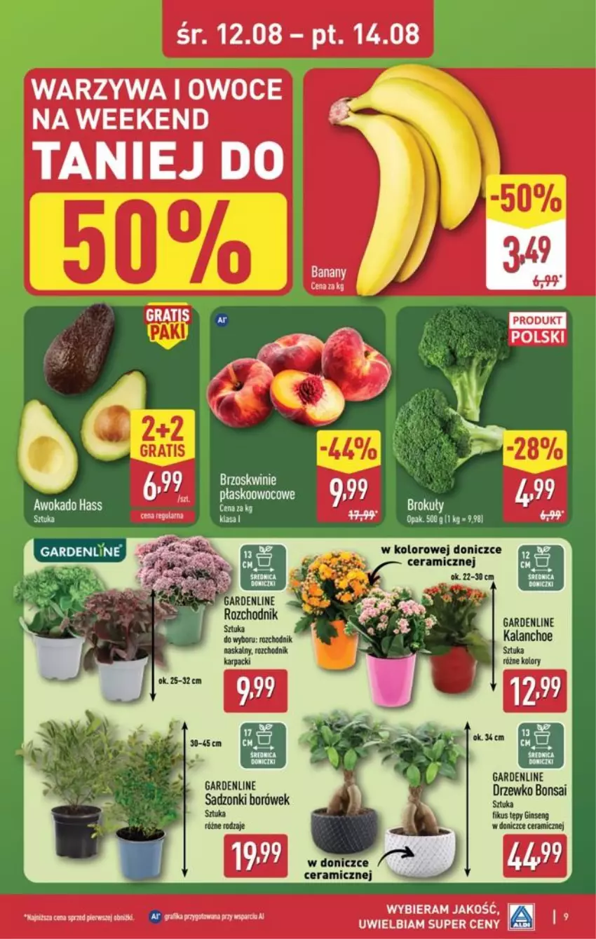 Gazetka promocyjna Aldi - Oferta weekendowa - ważna 12.08 do 14.08.2026 - strona 9 - produkty: Chodnik, Gin, Gra, Grafika, Kalanchoe, Karp, LG, Mop, Owoce, Warzywa, Warzywa i owoce