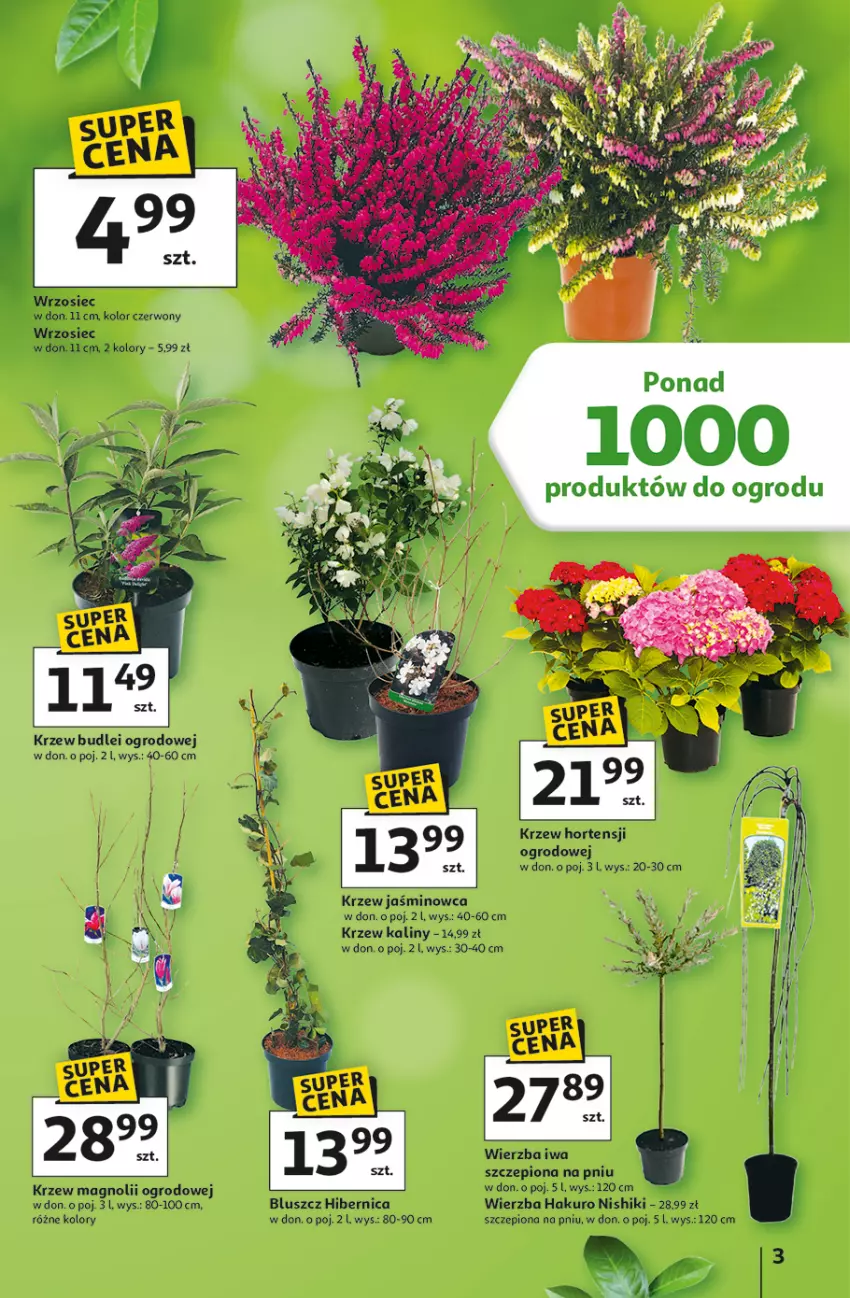 Gazetka promocyjna Auchan - Strefa Ogród Hipermarket - ważna 12.03 do 04.04.2026 - strona 3