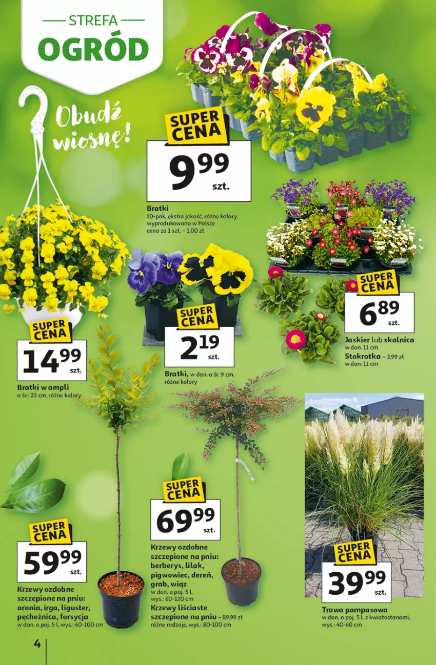 Gazetka promocyjna Auchan - Strefa Ogród Hipermarket - ważna 12.03 do 04.04.2026 - strona 4 - produkty: Aronia, Dereń, Fa, Gra, Pigwowiec