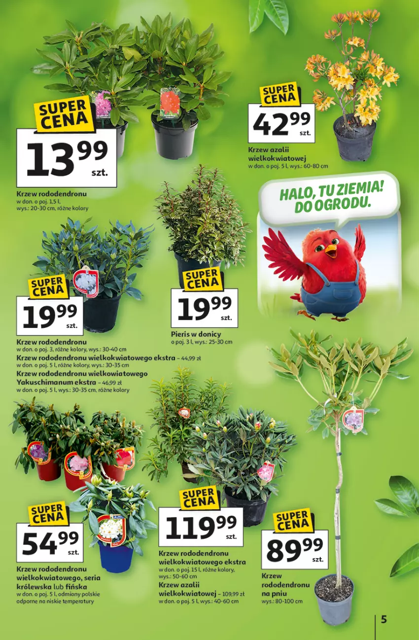 Gazetka promocyjna Auchan - Strefa Ogród Hipermarket - ważna 12.03 do 04.04.2026 - strona 5 - produkty: Por, Ser