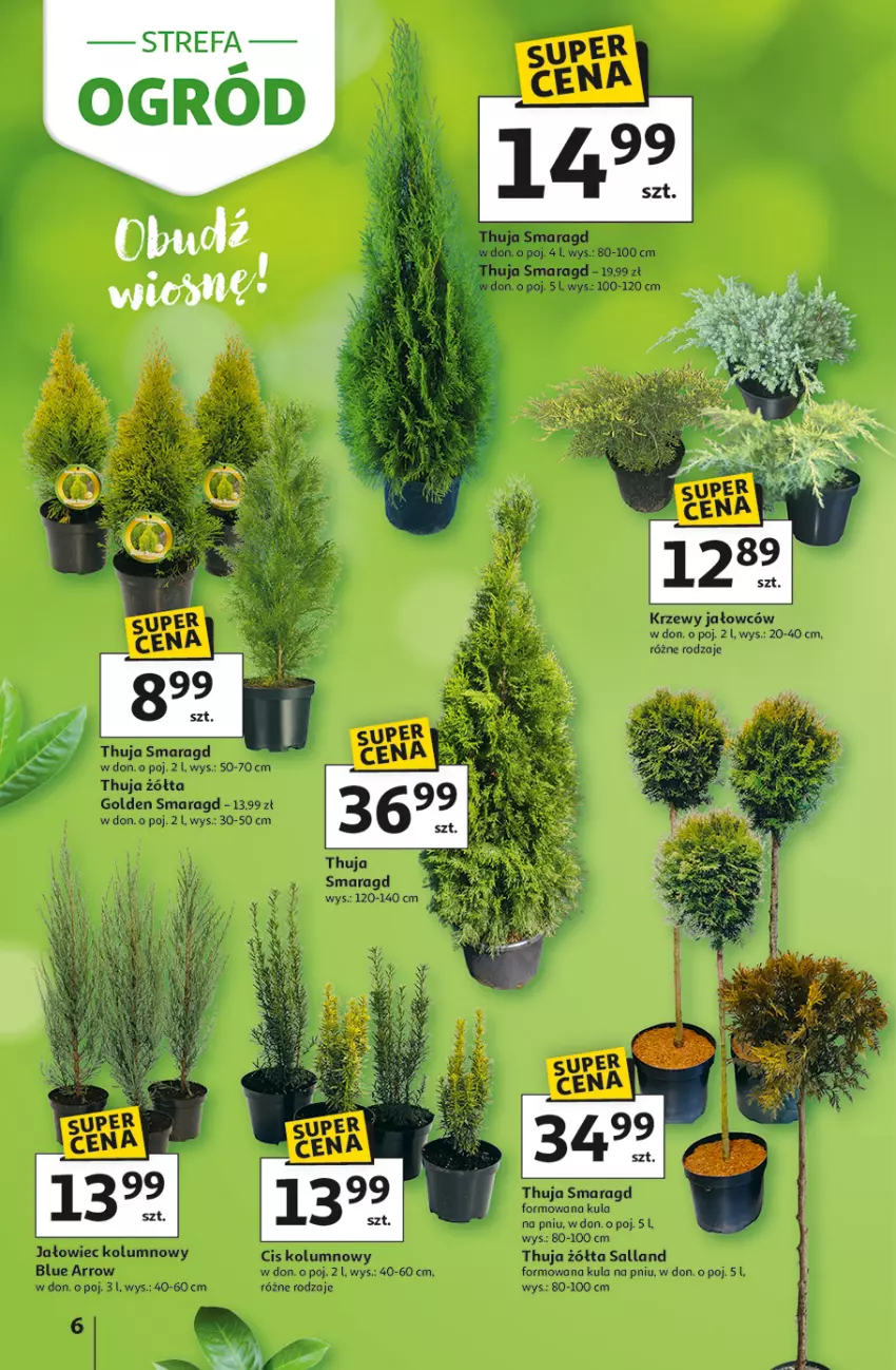 Gazetka promocyjna Auchan - Strefa Ogród Hipermarket - ważna 12.03 do 04.04.2026 - strona 6