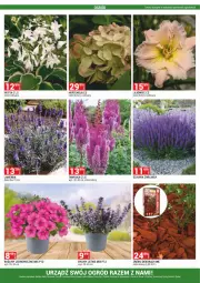 Gazetka promocyjna Merkury Market - Gazetka - ważna od 30.06 do 30.06.2024 - strona 54 - produkty: Chrzan, Ogród